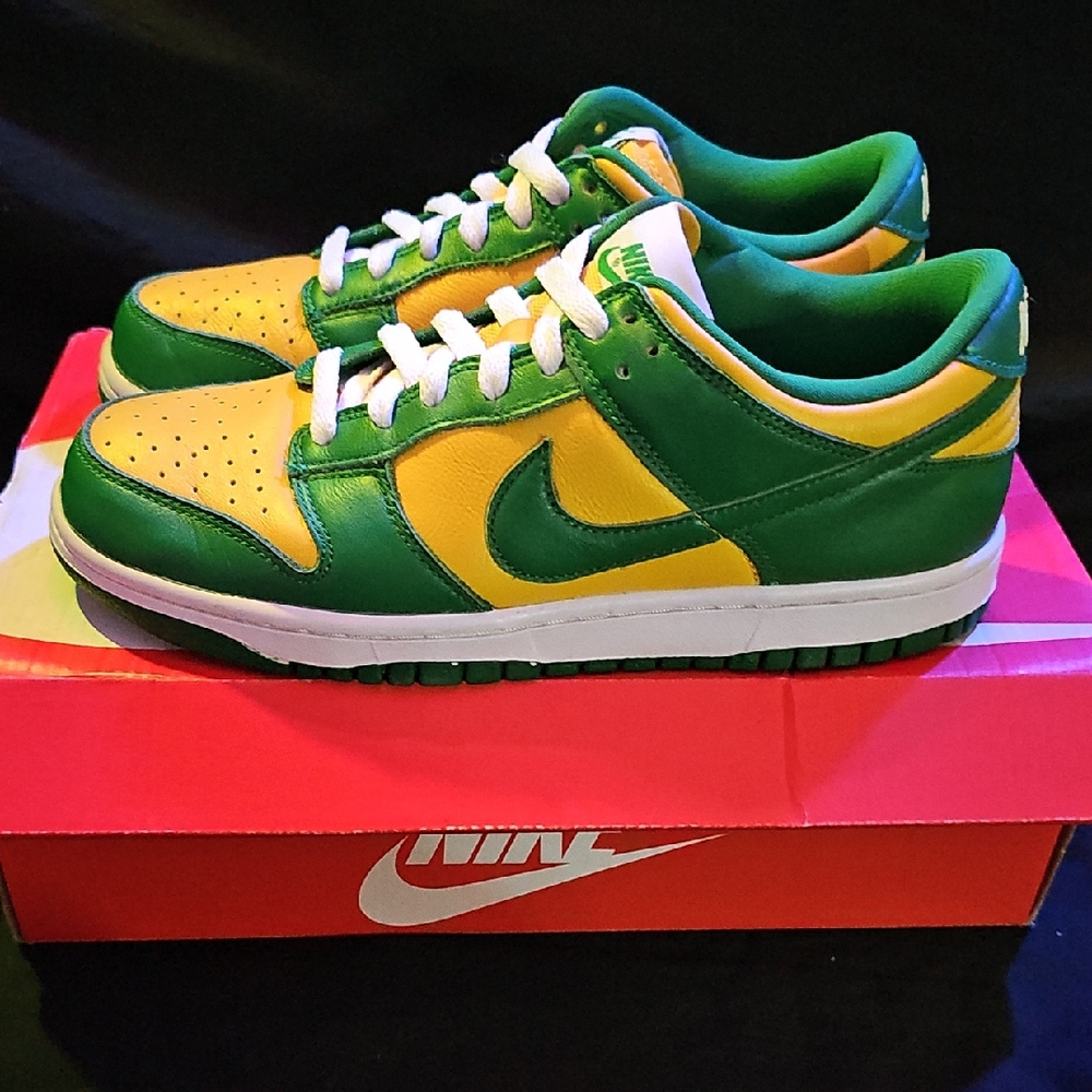 *Like New* Nike Dunk Low Brazils
